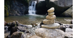 pexels abhishek parajuli 8145803