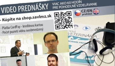 videoprednasky